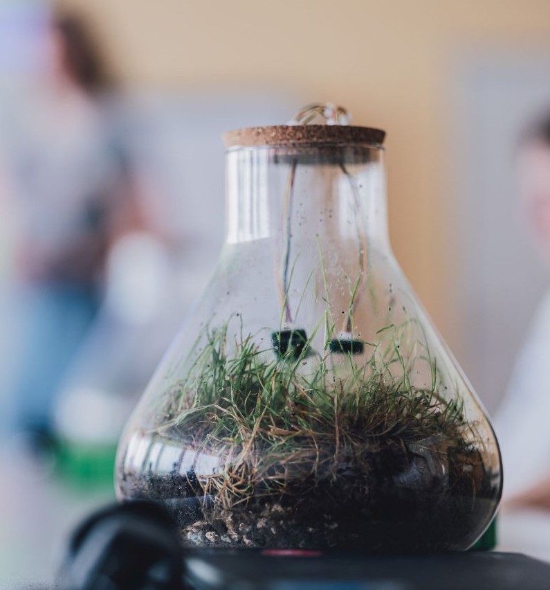 future alliance: ein Klimaglas stehend auf einem Tisch